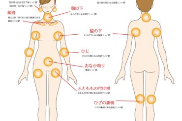 癒しの時間を作っていますか？
